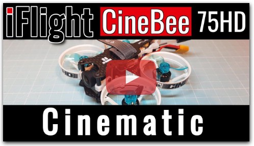 iFlight CineBee 75HD - Cinematic Flight