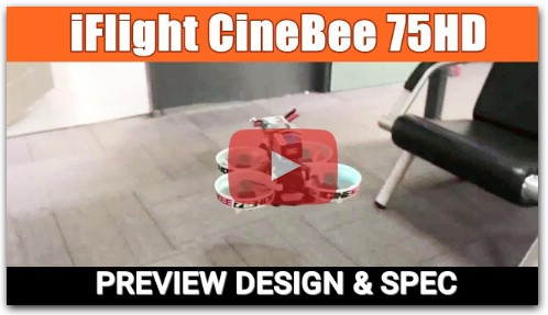 iFlight CineBee 75HD White Plate 2S Whoop