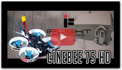 Demo CineBee 75 HD by F6 FPV